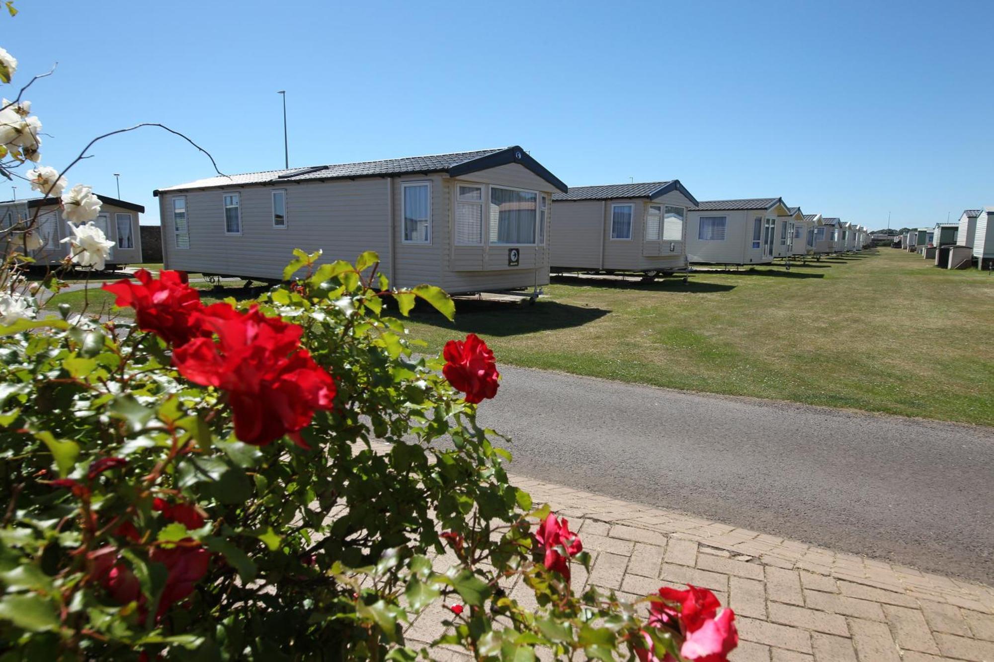 Red Lion Holiday Park Arbroath Exteriér fotografie